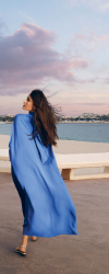 Toile 4 - Femme robe bleue