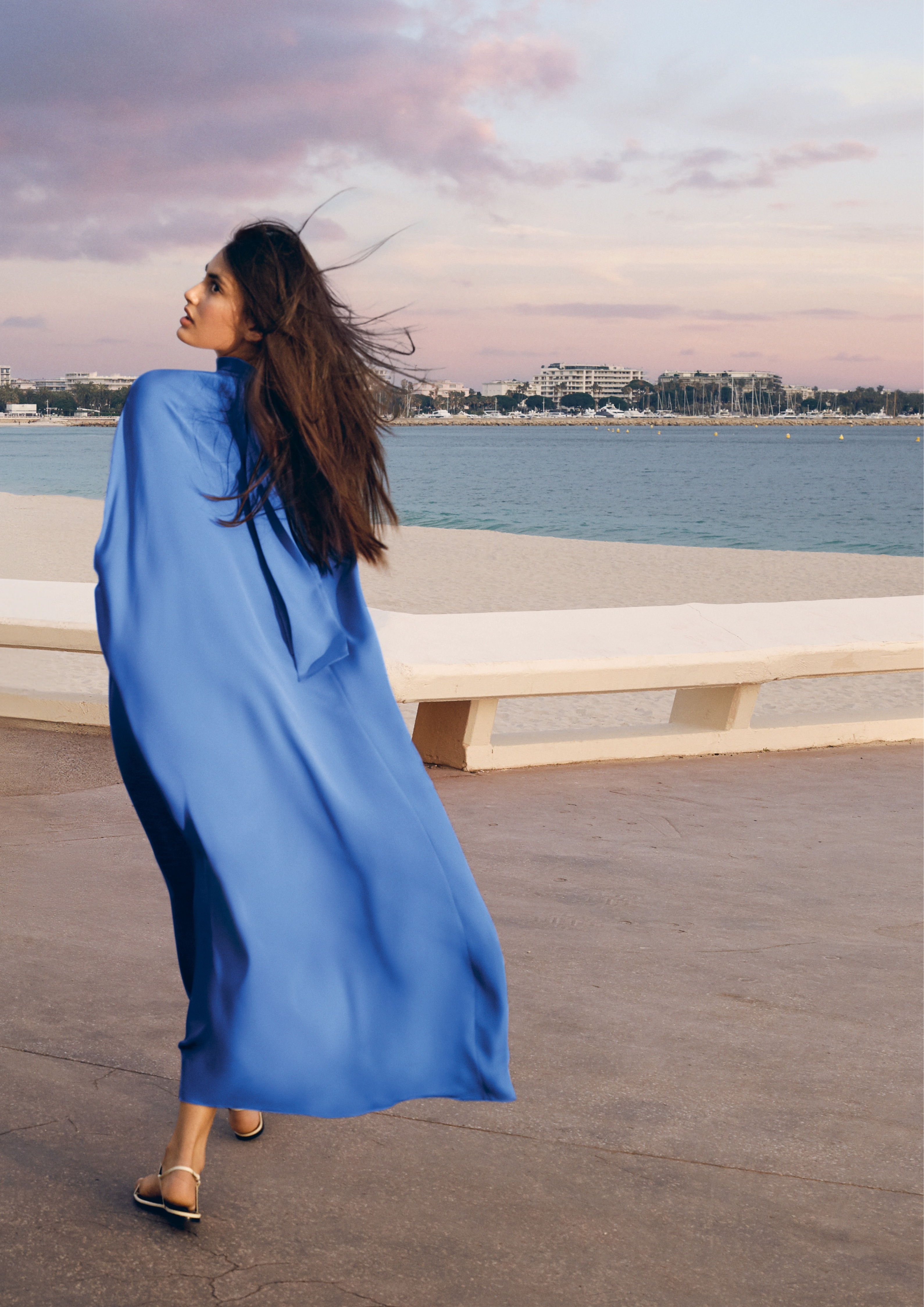 Toile 4 - Femme robe bleue